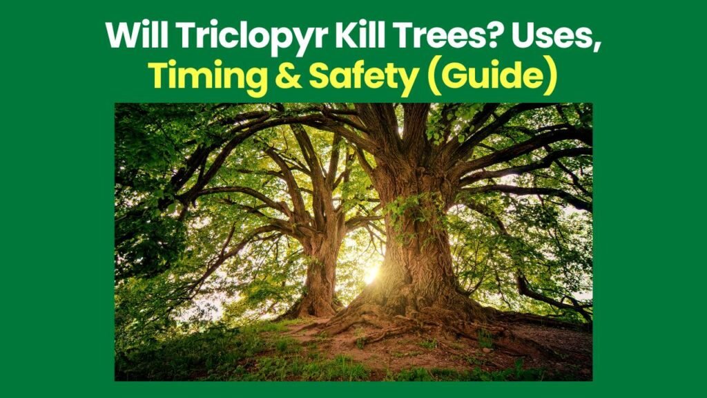 Will Triclopyr Kill Trees?