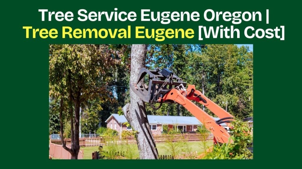 Tree service Eugene Oregon