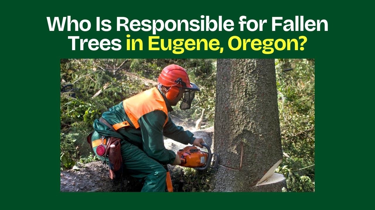 Who Is Responsible for Fallen Trees in Eugene, Oregon