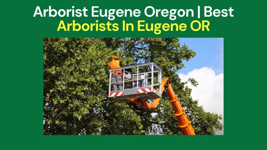 Arborist Eugene Oregon
