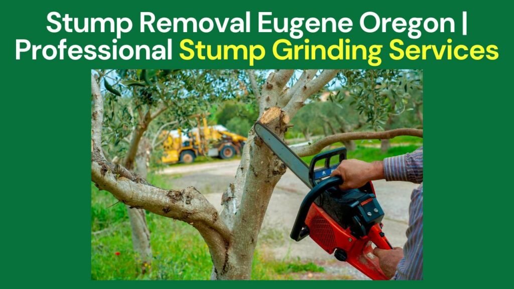 Stump Removal Eugene Oregon