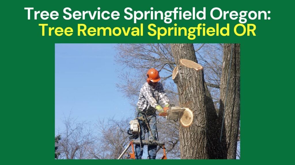 Tree Service Springfield Oregon